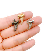 Shark Tooth Charm Pendant, 18K Gold CZ Micro Pave Shark Tooth Pendant, Shark teeth, Shark Tooth Necklace, 17x12mm, CP1129