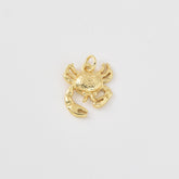 Gold Filled Crab Pendant Charm, Ocean Inspired Jewelry, Sea Life Charm for DIY Jewelry Making, Beach Lovers Gift, Gold Crab Necklace, CP2462