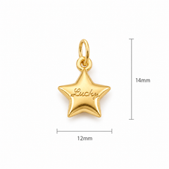 Gold Filled Lucky Star Charm, Pendant for Necklace or Bracelet, Jewelry Making Supply, DIY Craft Gift, Minimalist Jewelry, CP2471
