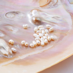 AAA Natural Freshwater Pearl Beads, 2-2.5mm, Rice Shape Beads, White Seed Pearl Beads, Great Quality Pearl Beads, Full Strand, FWP012