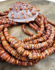 Orange Spiny Oyster Shell Bead Rondelle Shape, Gorgeous Natural Orange Color Spiny Oyster Shell Bead, High quality bead 8mm, PRP833A