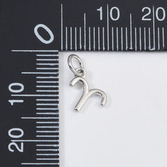 18K Gold Filled Silver Zodiac Constellation Charm, CP1591