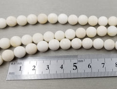 White Round Shell Faceted Beads, GRN055